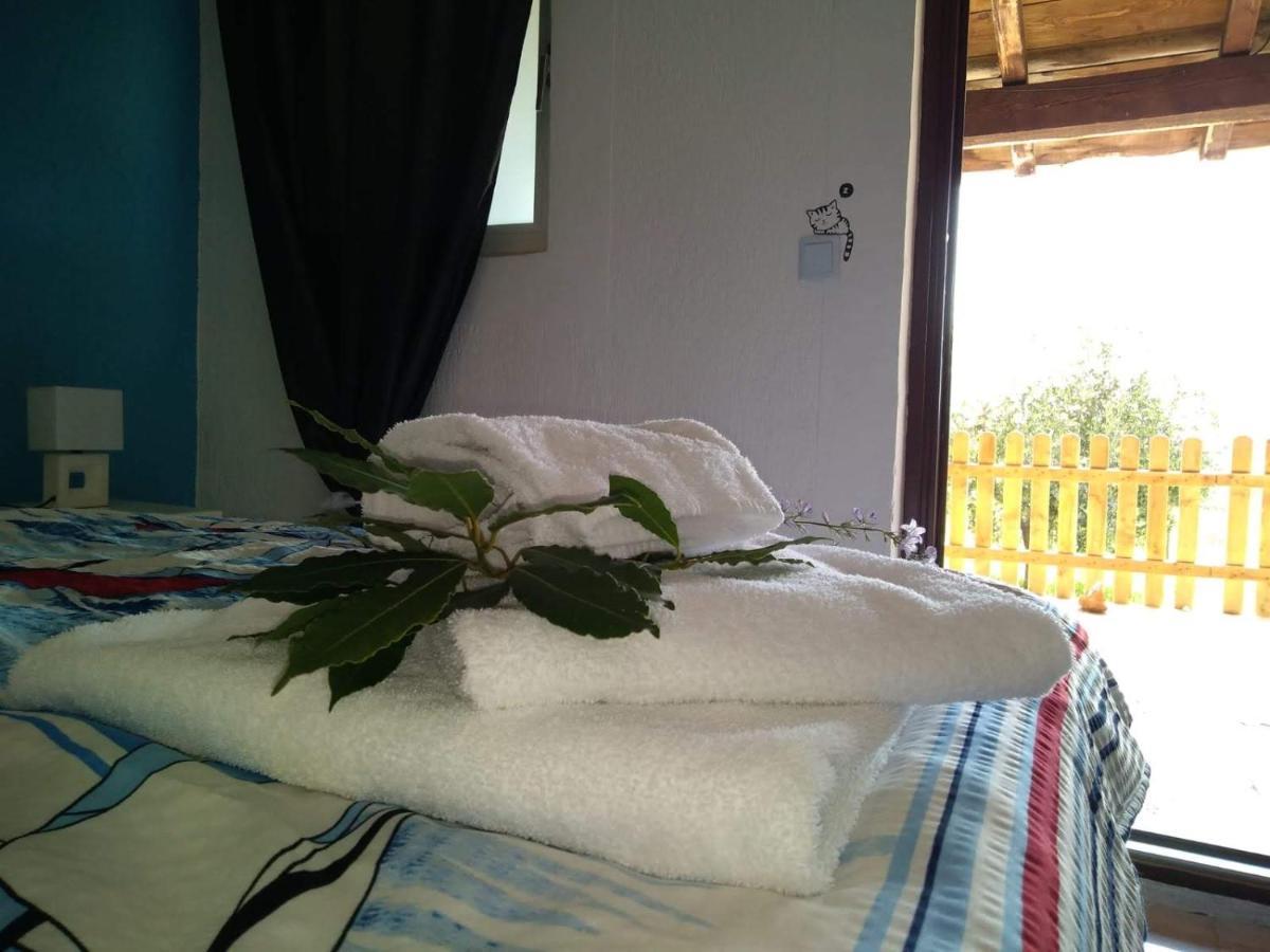 Il Giardino Degli Ulivi Hotel Rovinj Kültér fotó