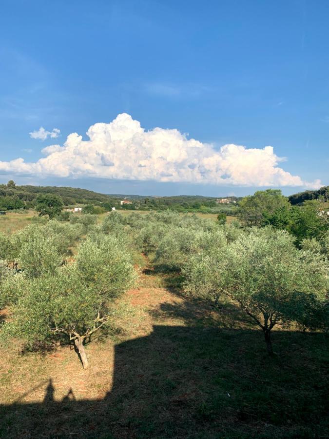 Il Giardino Degli Ulivi Hotel Rovinj Kültér fotó